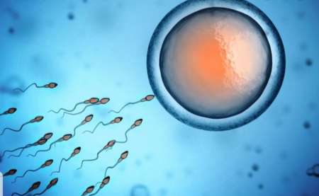 Dont de sperme ( QI DE 135) bonne capacité mentale