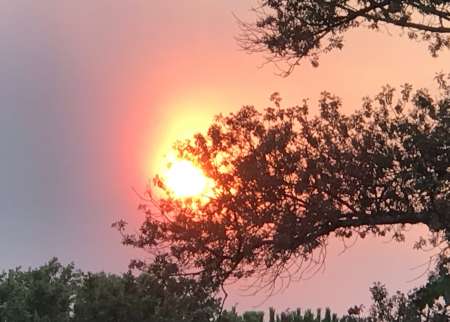 cherche femme homme ou trans échange, vidéo réel