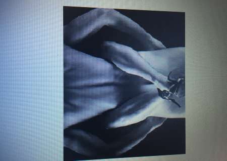  RECHERCHE UNE FEMME SUGGAR BABY DISPO ET SERIEUSE