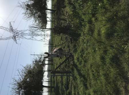 Recherche femme de ménage