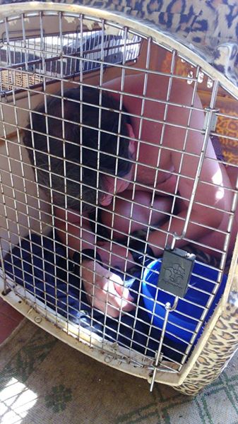 Homme soumis pour Domina