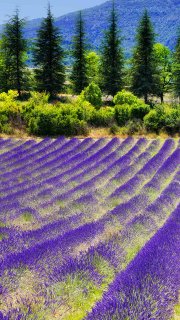  Hon cherche jf pour moment en lieux insolite ou au