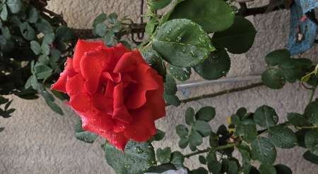 massage détente réciproque