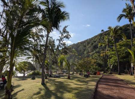 Recherche Femme chaud et open sud sauvage