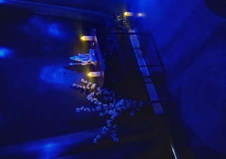 Massages sensuels bien être