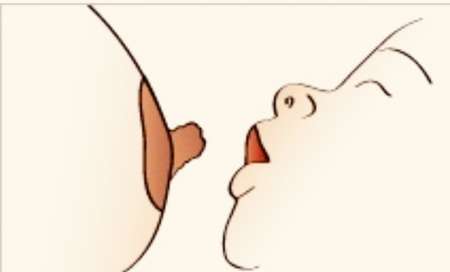 Monsieur pour téter et soulager vos seins