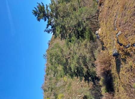 Sensualité et évasion