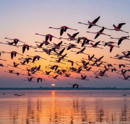 Pour femme marier ou non