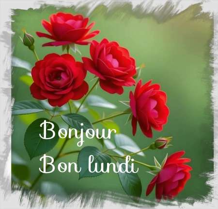 Je suis un homme Qui Veux rencontrer des femmes