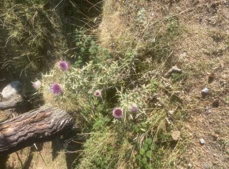 Rencontres en toute simplicité