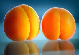 mesdames vous aimez etre léchées