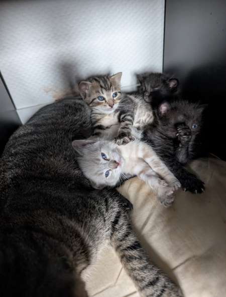 Couple illégitime pour une femme