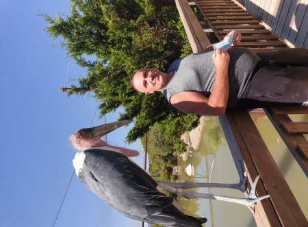 Cherche femme age indifférent Haut-Rhin 68