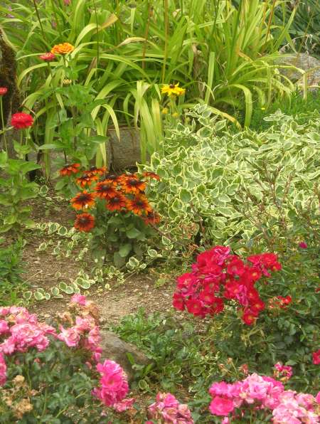 H pour relation complice avec un couple coquin