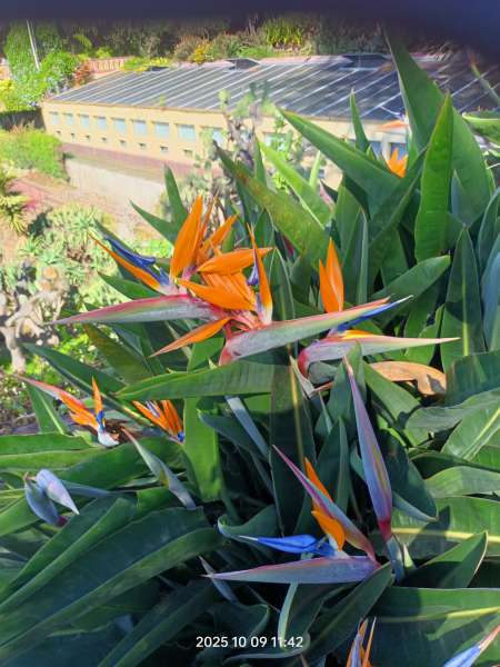 Entre hommes seniors ami amant