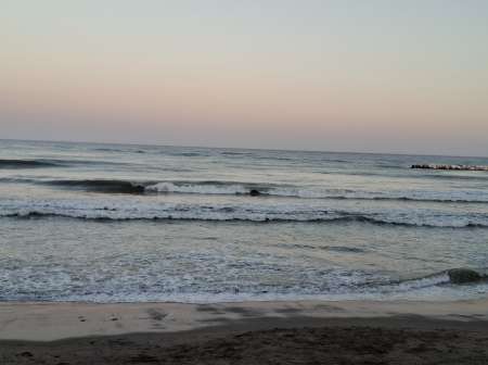 Disponible pour vous Mesdames