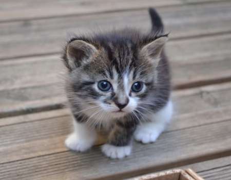 Soirée coquine pour jour de l an/ h pour une f