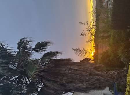 Recherche femme trans