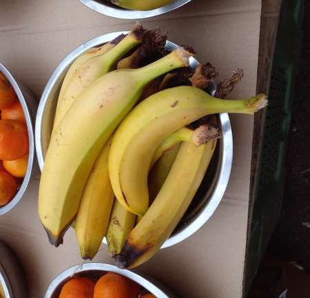 Je cherche à sucer une bonne jeune queue magrebin