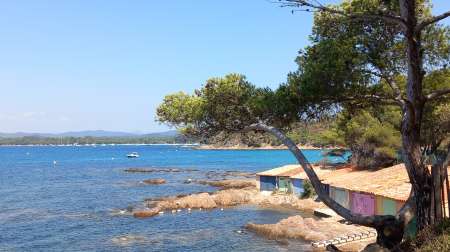 Pour le plaisir partagé