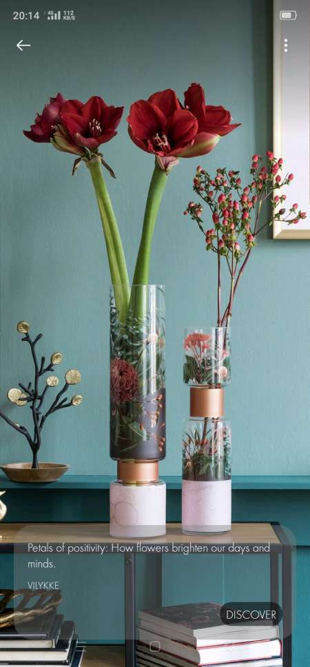 Une perle noire j aimerais bien