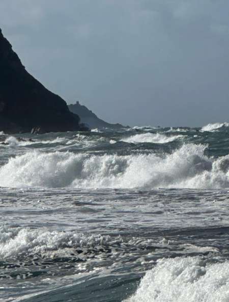 Plaisirs partagés duo trio