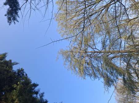 Pour un moment de plaisir.