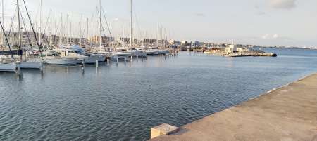 Service bricolage jardinage