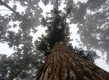 Cherche ma nouvelle Suggar 😍