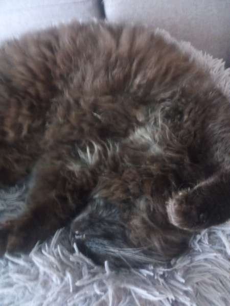 Rech femme directive pouvant recevoir en journée