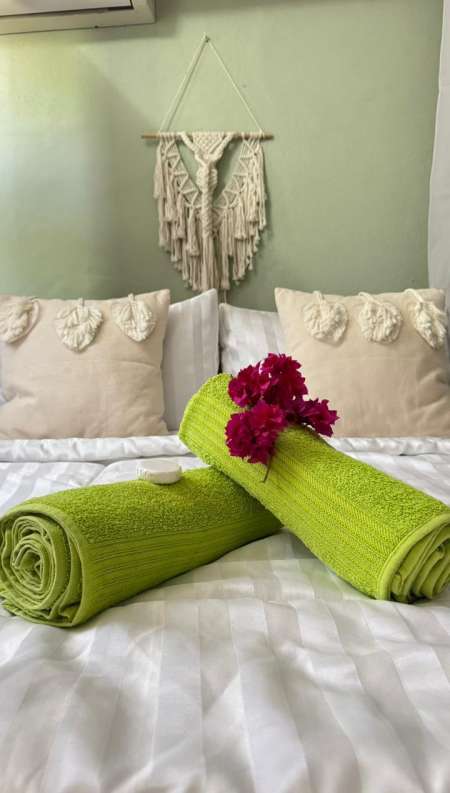 Trans feminine mettiss