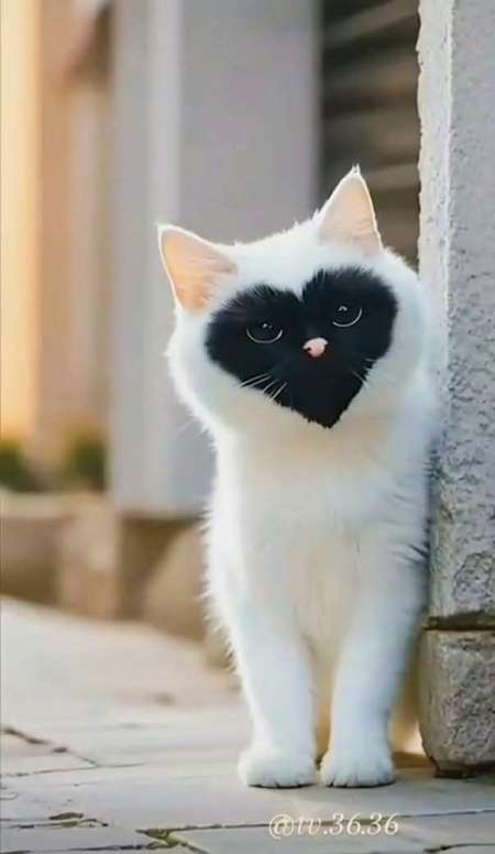 pour rdv CALINS avec Femme 30/50ans