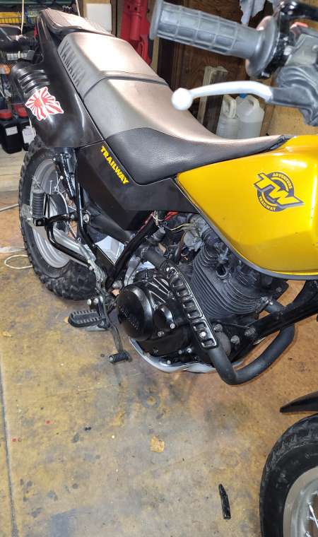  Recherche femme ronde