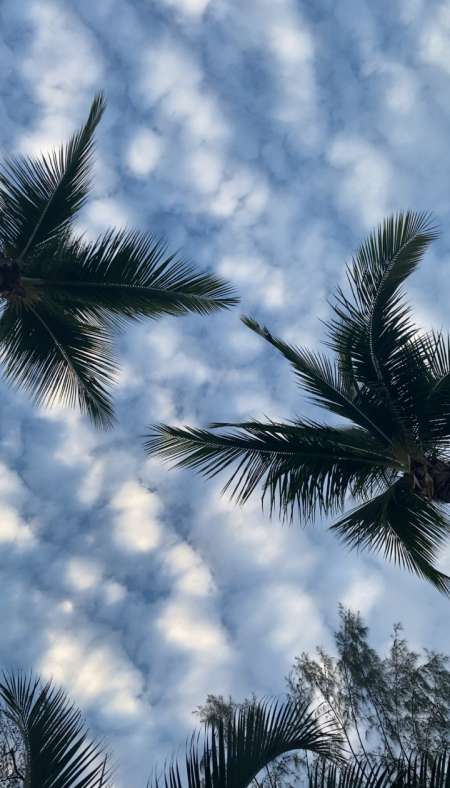  F recherche massage naturiste