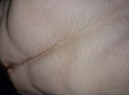 18 ans tbm dominateur