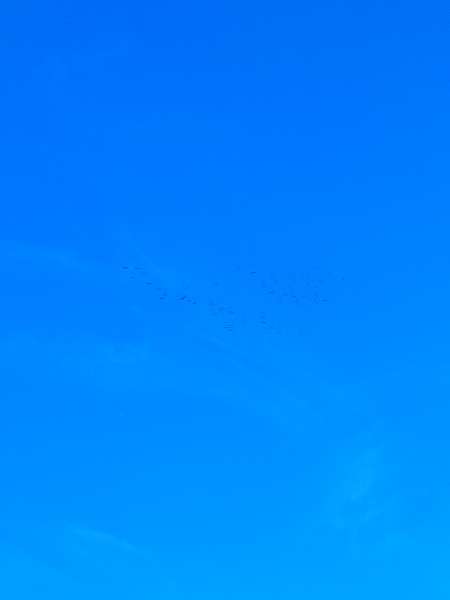 Passer un agréable moment