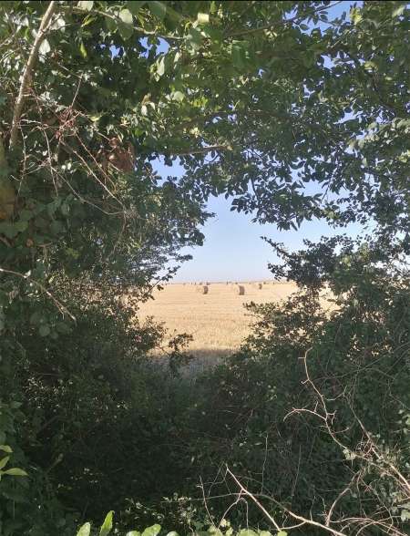 Cherche Escorte girl sur Bordeaux Merignac