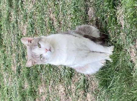 H de 63 ans cherche JF très mince voir maigre