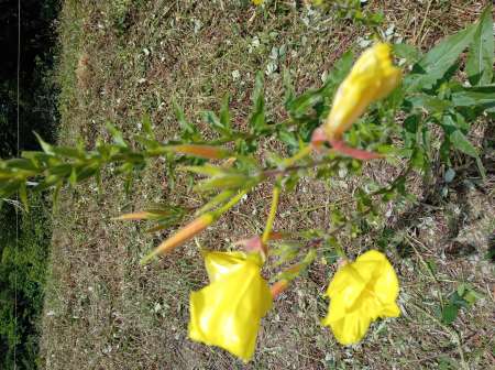 Homme 44 ans pour rencontre sans lendemain