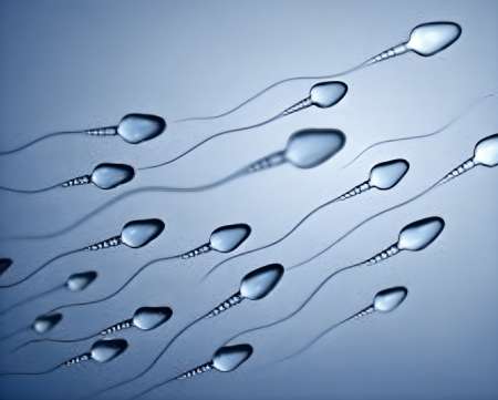 SPERME a recolter par vous même