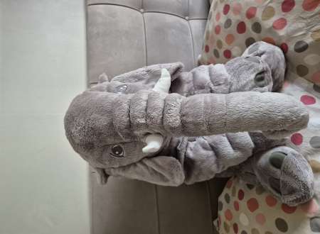 Homme 60 ans de Strasbourg