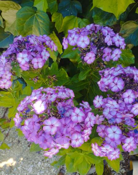 Recherche relation avec femme