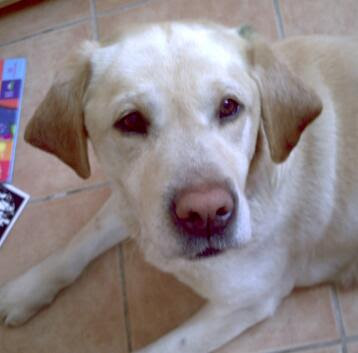 Homme marié délaissé cherche sexe intense