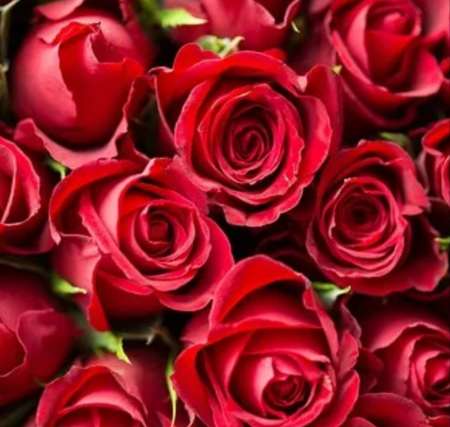  Plan cul gratuit sur nice et les alentours