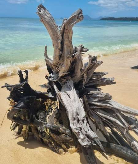 Rencontre éphémère pour femme ou couple