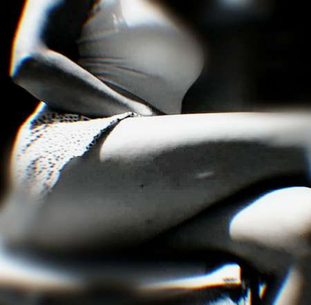 Rencontre et cherche modèles féminin