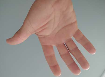 Mesdames, Travestis....