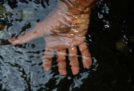  Massage SENSuel ....CORPS à CORPS,COEURS à COEURS